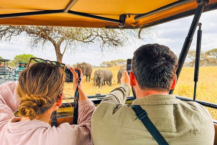 4-Day Private Safari to Serengeti & Ngorongoro Crater — Big Five, Tented Camps photo 3