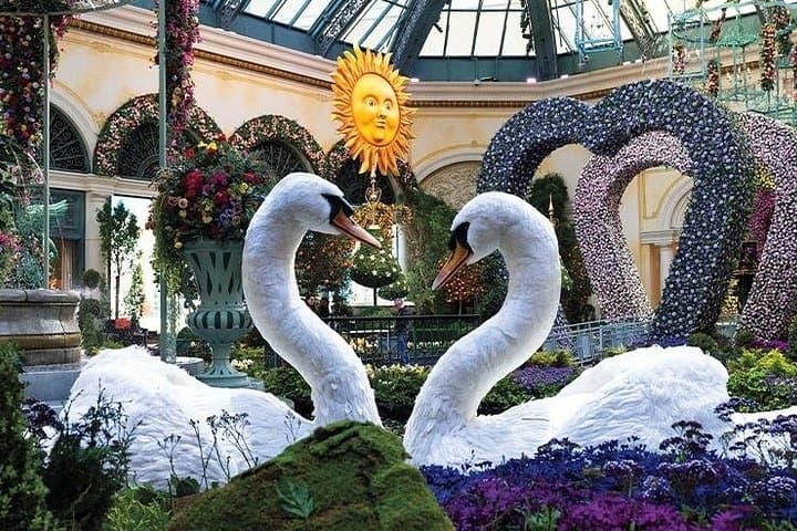 VIP Las Vegas Night Strip and Fremont Street Tour photo 4
