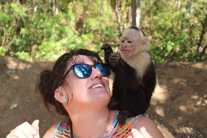 Monkey Tour from Playa Jaco: See White-Faced Capuchins and Tarcoles Crocodiles