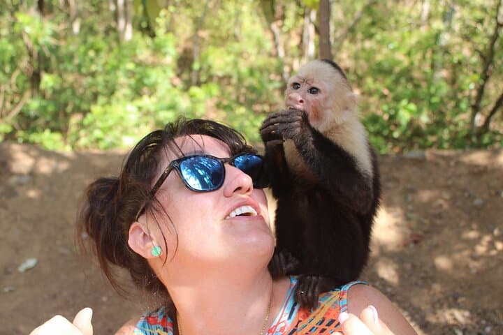 Monkey Tour from Playa Jaco: See White-Faced Capuchins and Tarcoles Crocodiles photo 2