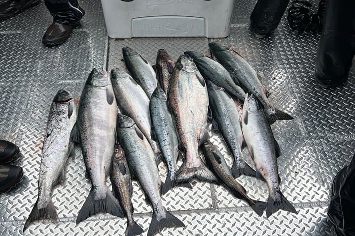 Private Ketchikan Salmon Fishing — 4-Hour Wild Alaskan Catch photo 4