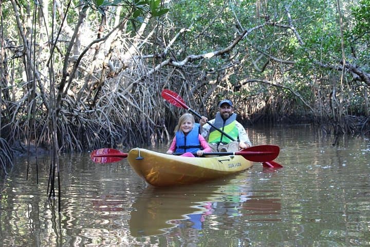Everglades Kayak & Canoe Rentals: Paddle the 10,000 Islands from Chokoloskee Bay photo 2