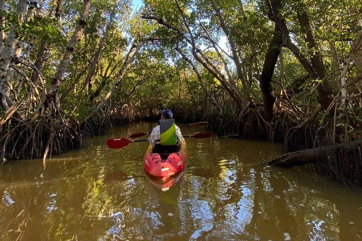 Everglades Kayak & Canoe Rentals: Paddle the 10,000 Islands from Chokoloskee Bay photo 4