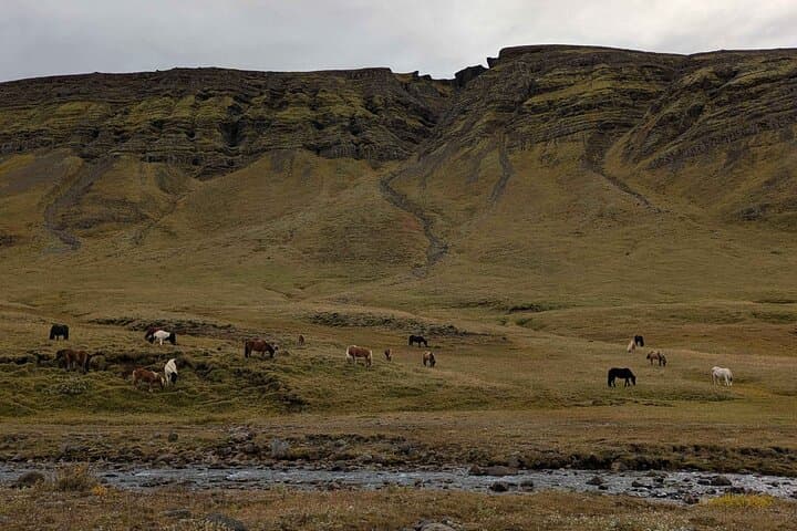 Grímannsfell Day Hike — Helgufoss Waterfall & Halldór Laxness Museum from Reykjavík photo 3