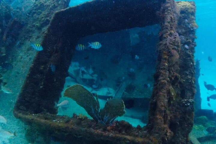 Snorkeling Tour in Cancun: Reef, MUSA, Turtles & Shipwreck with Transport photo 2