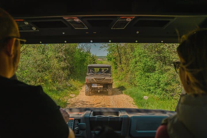 Istria Olive Oil Tasting and Sunset Buggy Tour from Fažana photo 3