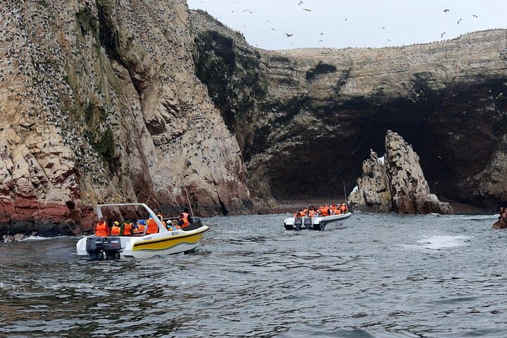 Day Trip: Paracas, Ballestas Islands & Huacachina Oasis from Lima photo 3