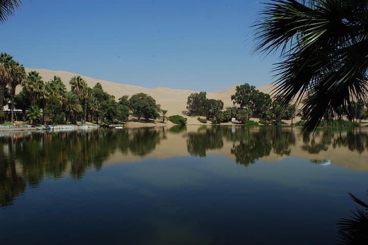 Paracas & Huacachina Day Tour: Ballestas Islands, Dune Buggies and Pisco Tasting from Lima photo 1