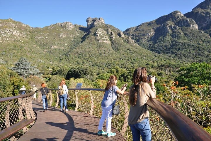 Table Mountain, Kirstenbosch & Constantia: Full-Day Private Tour from Cape Town photo 6