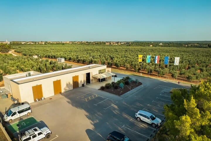 Istria Olive Oil Tasting and Sunset Buggy Tour from Fažana photo 4