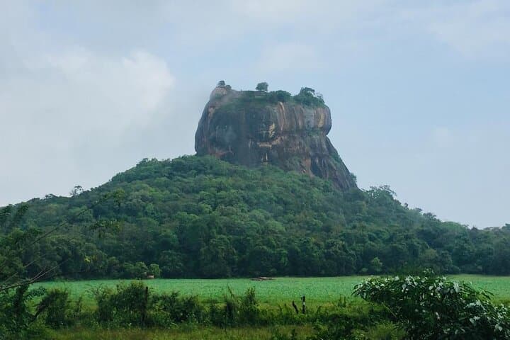 3-Day Sigiriya, Minneriya, Kandy & Ella Luxury Tour from Pasikudah