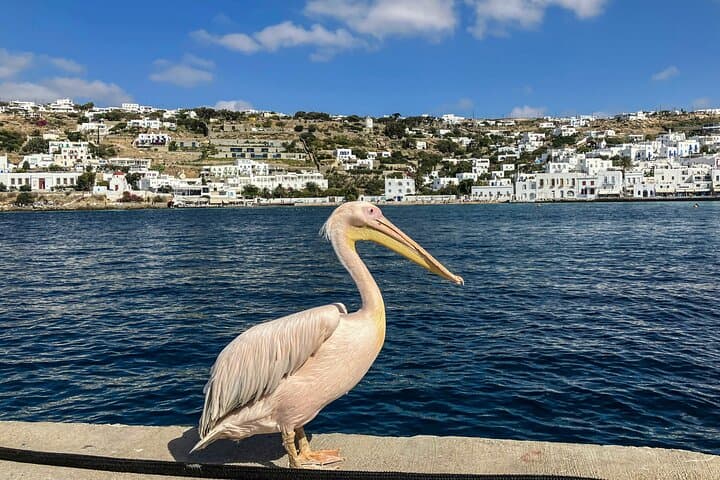 The Real Mykonos: Private Local Tour of Lighthouses, Beaches & Ano Mera