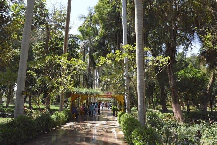 Private Abu Simbel & Kitchener's Island Botanical Gardens Day Tour from Aswan photo 4
