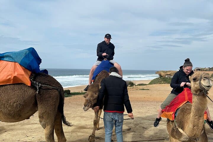 Full-Day Tangier to Asilah Coastal Tour: Cap Spartel, Hercules Caves & Camel Ride photo 6