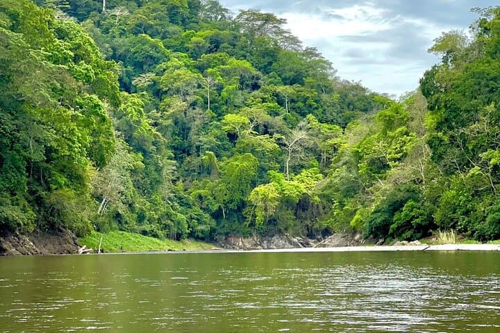 Emberá Rainforest Canoe Adventure on the Chagres River photo 4