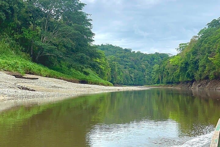 Emberá Rainforest Canoe Adventure on the Chagres River photo 6
