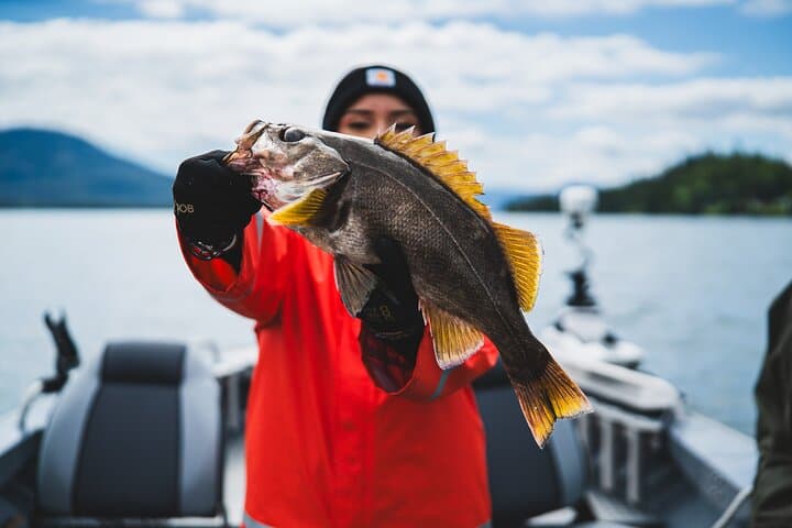 Ketchikan Alaska Fishing and Wilderness Dining: Catch and Cook in Remote Coastal Wilderness photo 5