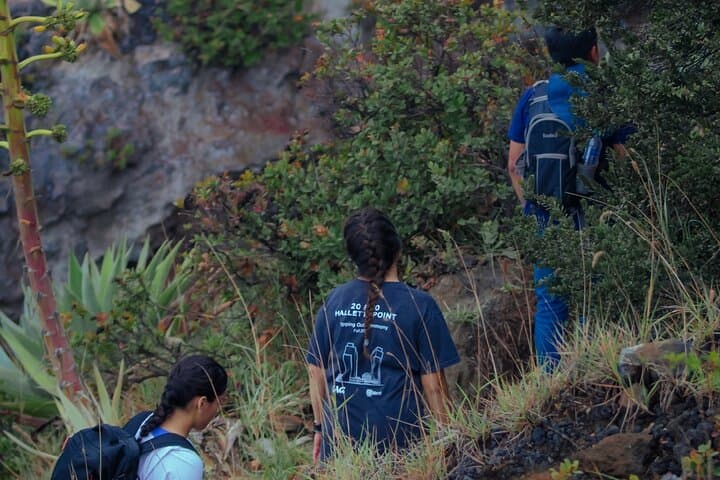 Hike Santa Ana (Ilamatepec) Volcano and Relax at Lake Coatepeque — Guided Day Tour photo 2