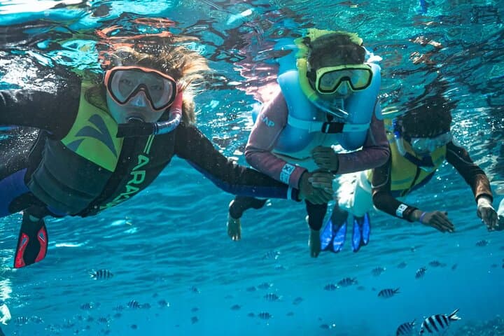 Kuata Island Marine Conservation Day Trip: Snorkel, Learn, and Lunch from Denarau photo 1