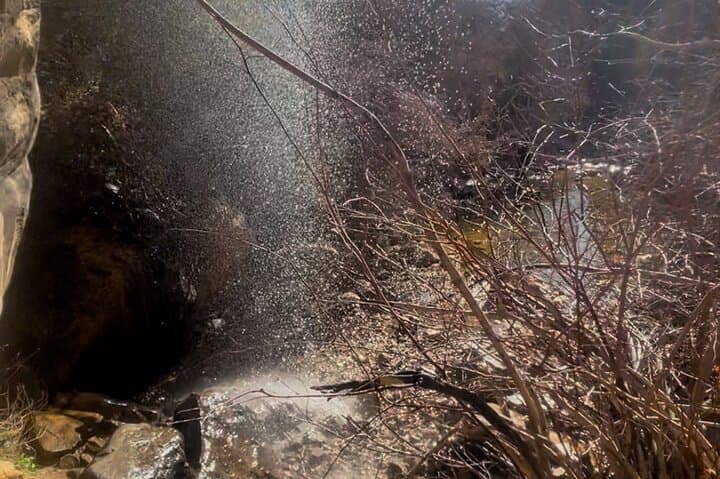 Red Rock Canyon Guided Hike — Wild Burros, Petroglyphs & Desert Waterfalls