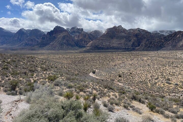 Red Rock Canyon Guided Hike — Wild Burros, Petroglyphs & Desert Waterfalls photo 3
