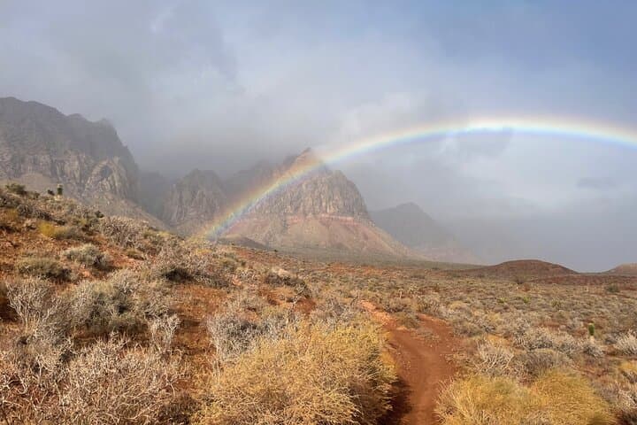 Red Rock Canyon Guided Hike — Wild Burros, Petroglyphs & Desert Waterfalls photo 5