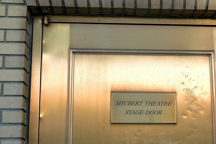 Walk Broadway: Immersive Historic Times Square Walking Tour photo 5