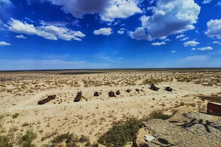 Day Trip to the Aral Sea from Nukus: Private Transfer and Muynak Shore Visit