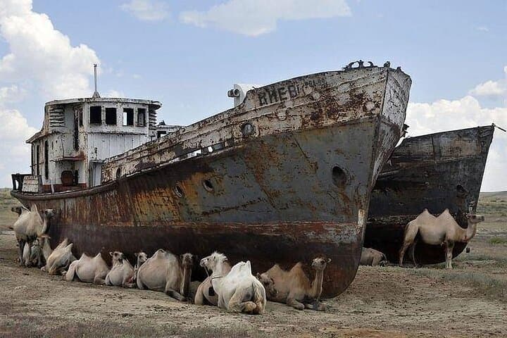 Day Trip to the Aral Sea from Nukus: Private Transfer and Muynak Shore Visit photo 2