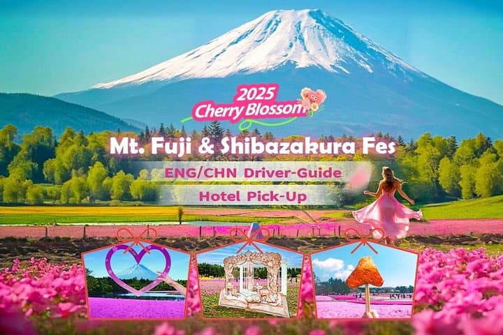 Morning Light at Mt. Fuji: Cherry Blossoms and Shibazakura Day Trip from Tokyo photo 1