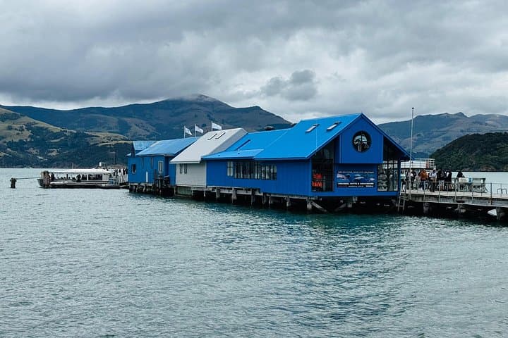 Akaroa Private Day Trip from Christchurch: Banks Peninsula Dolphin Cruise & Cheese Tasting photo 3