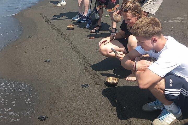 Bali Horse Riding and Turtle Release at Saba Beach — Beach Ride, Conservation & Waterfall Visit photo 5