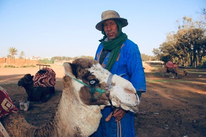 Sunset Camel Ride Along Agadir Beach and Souss River photo 5