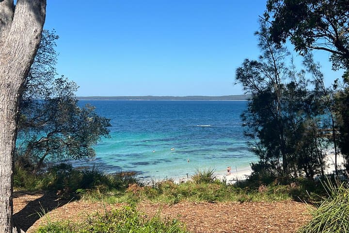 Jervis Bay Private Tour: Hyams Beach, Dolphins & Kiama Blowhole Day Trip from Sydney