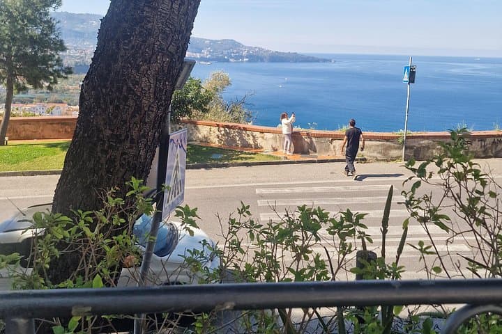 Private Amalfi Coast & Pompeii Day Tour: Boat, Ruins and Sorrento in One Day photo 1