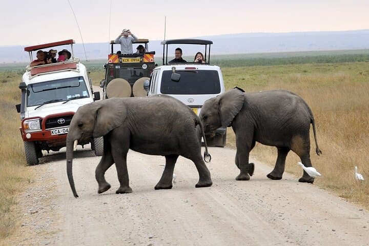 3-Day Maasai Mara Private Safari: Game Drives, Big Five & River Crossings photo 4