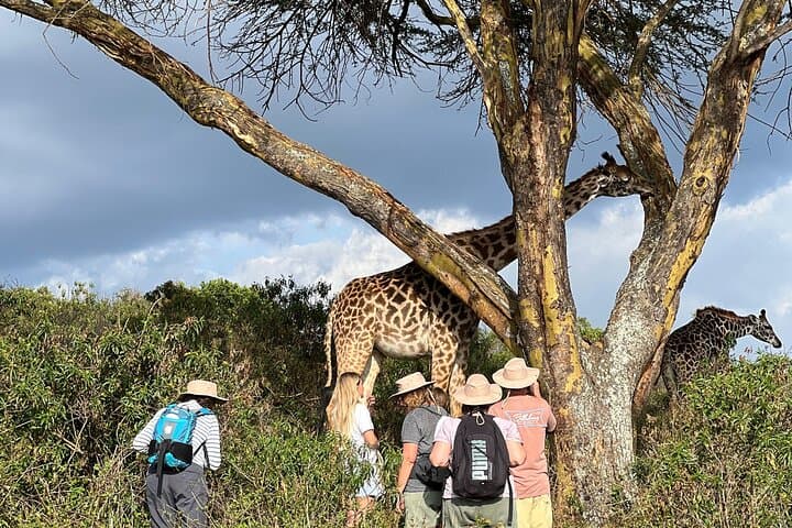3-Day Maasai Mara Private Safari: Game Drives, Big Five & River Crossings photo 5