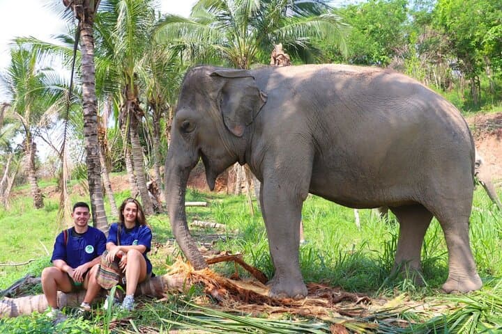 Ethical Elephant Sanctuary Day Trip from Pattaya — Khao Kheow Experience photo 3