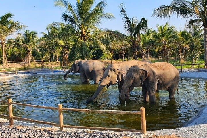 Ethical Elephant Sanctuary Day Trip from Pattaya — Khao Kheow Experience photo 6