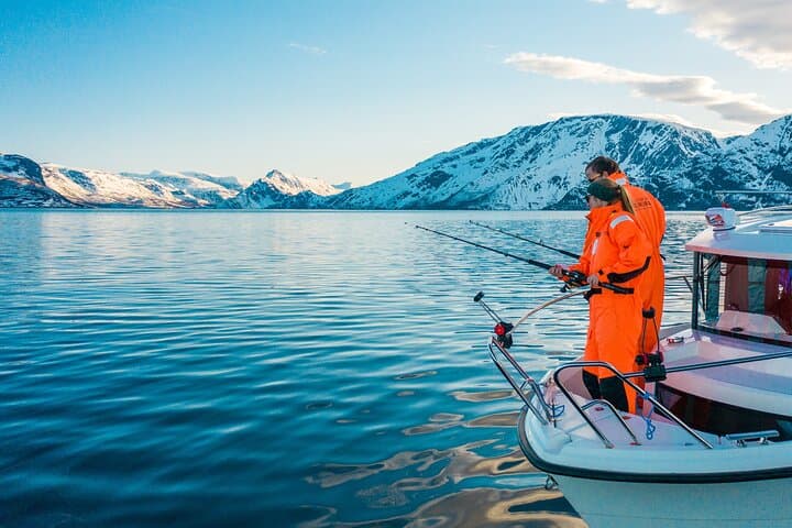 Alta Fjord 3-Hour Fishing Adventure: Cod, Halibut & Local Expertise