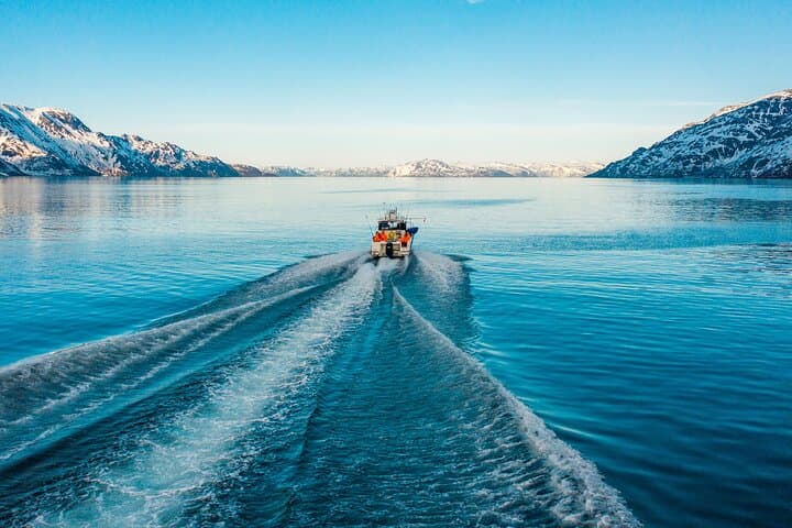 Alta Fjord 3-Hour Fishing Adventure: Cod, Halibut & Local Expertise photo 2