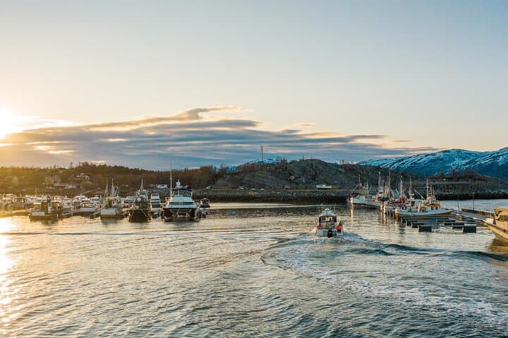 Alta Fjord 3-Hour Fishing Adventure: Cod, Halibut & Local Expertise photo 3