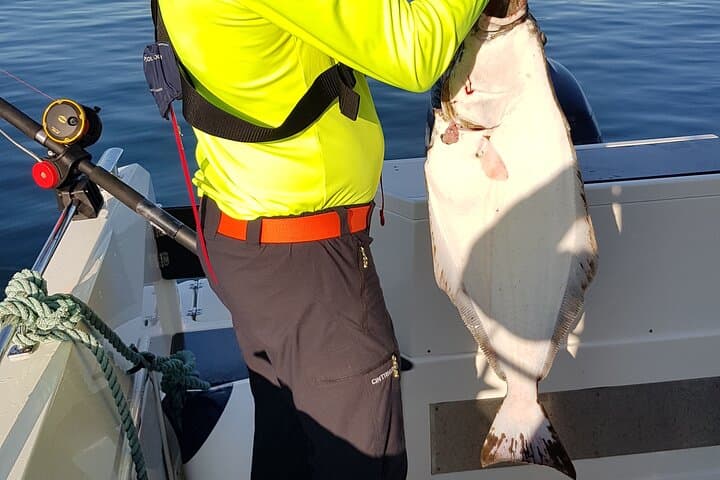 Alta Fjord 3-Hour Fishing Adventure: Cod, Halibut & Local Expertise photo 4