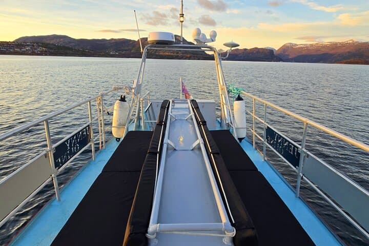 Alta Fjord 3-Hour Fishing Adventure: Cod, Halibut & Local Expertise photo 6