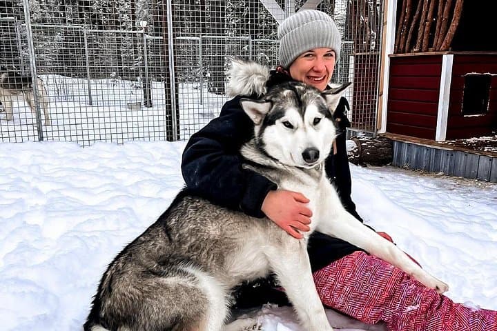 Meet Alaskan Malamutes in Swedish Lapland: Ranch Visit & Fika photo 2