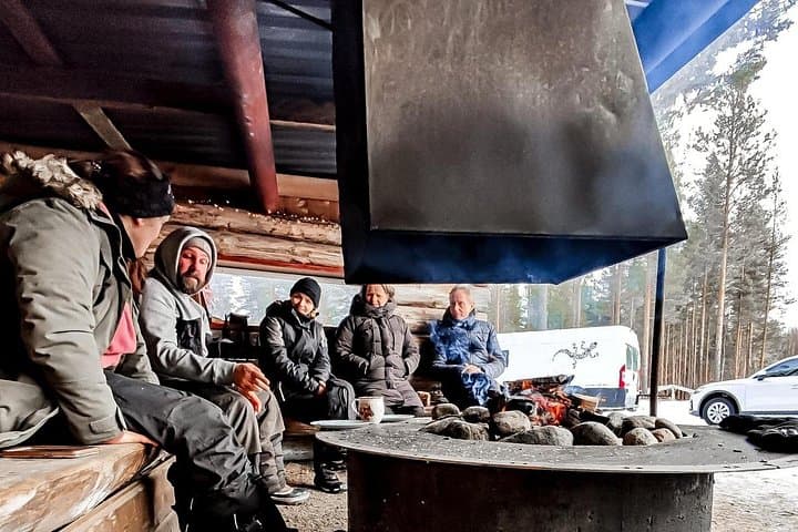 Meet Alaskan Malamutes in Swedish Lapland: Ranch Visit & Fika photo 6