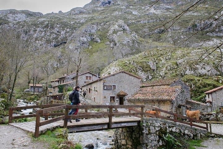 Bulnes Funicular & Cabrales Cheese: Picos de Europa Day Trip from Cangas de Onís
