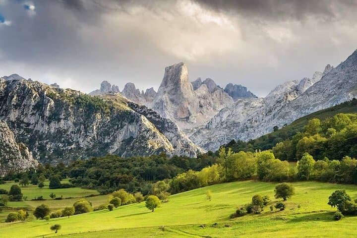 Bulnes Funicular & Cabrales Cheese: Picos de Europa Day Trip from Cangas de Onís photo 4