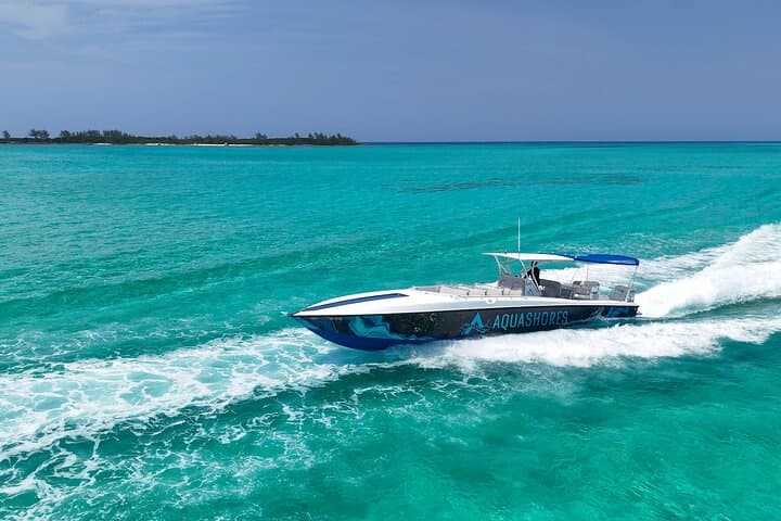 Nassau Snorkeling, Turtle Spotting & Sunset Cruise: Reef, Turtles and Golden Hour photo 4