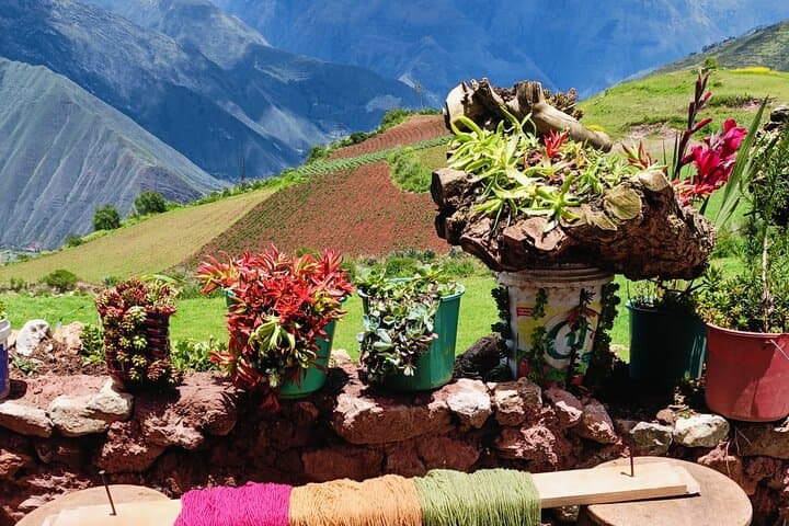 Andean Rituals Experience — Sacred Valley Ceremony, Llamas & Textiles Workshop photo 4